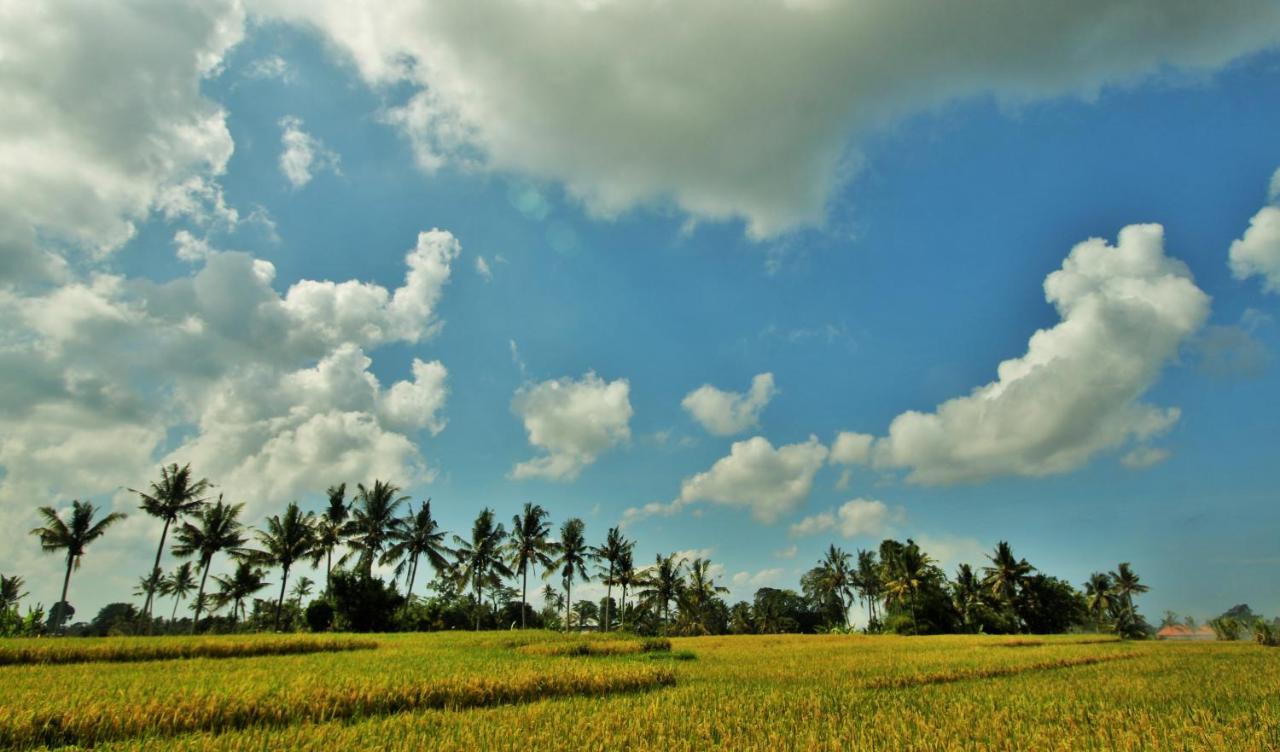 Griya Private Villa Ubud Kültér fotó