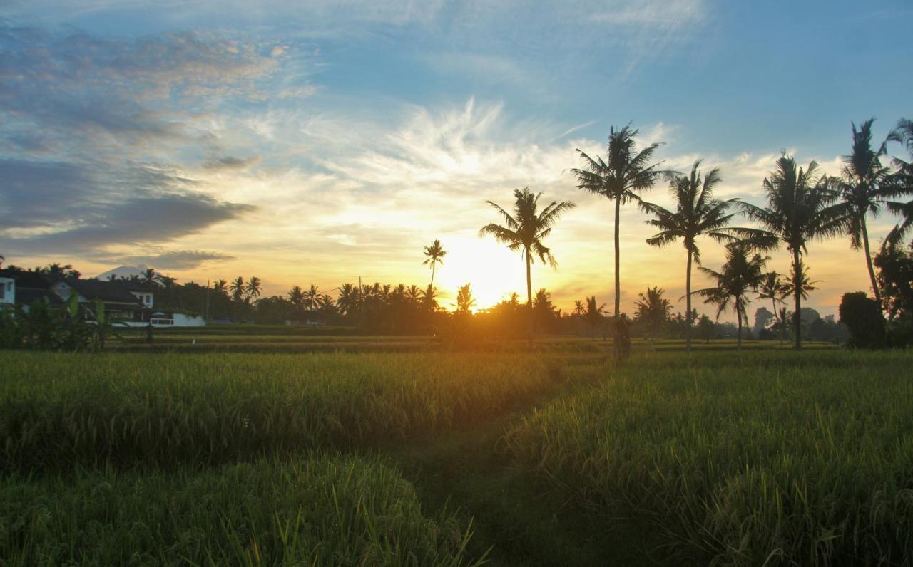 Griya Private Villa Ubud Kültér fotó