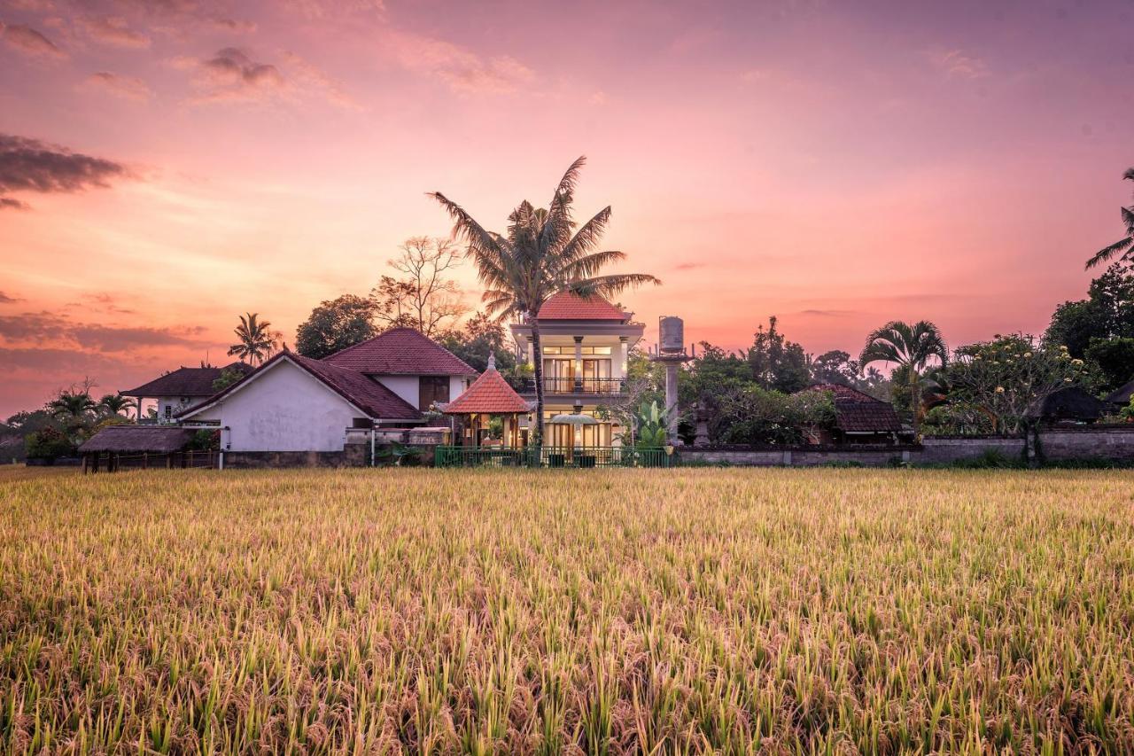 Griya Private Villa Ubud Kültér fotó